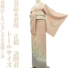 ゆめsaku美品 夏着物 正絹 薄物 縦絽 ラメ 蔦 居敷当付 訪問着P-109