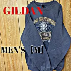TK199【US輸入】GILDAN　スウェット(トレーナー)【メンズM】グレー