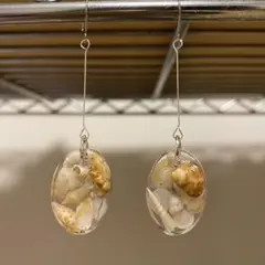 自然の色 貝殻 ピアス 海 貝