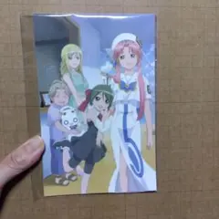 ARIA　アリア　DVD7巻初回封入特典ポストカード　未開封