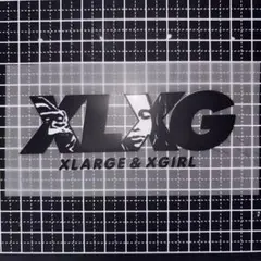 ラージ　xガール　アイロンシート