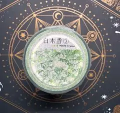 1098】海外 マステ 5m巻 PETマスキングテープ 琵琶 木の枝 背景系