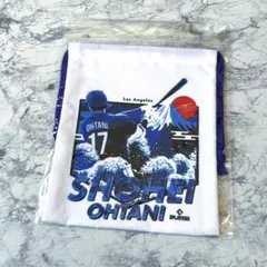 Item thumbnail for item ba9a982b-395f-405c-a621-57f8d3b8a9f6