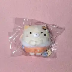 すみっコぐらし 星空さんぽ てのりぬいぐるみ ねこ