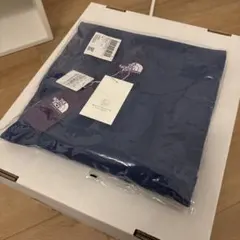 THE NORTH FACE PURPLE LABEL Tシャツ XLのサムネイル