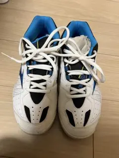 テニスシューズ 25