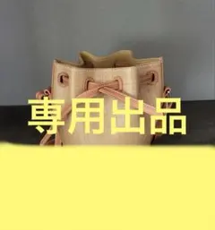 anna様専用　VASICのサムネイル