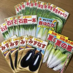 多種野菜の種 21パック ⑨ セール( ᐢ´o̴̶̷̤ ω o̴̶̷̤ `ᐢ )のサムネイル
