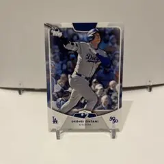 Item thumbnail for item 696a2107-329b-4c7d-9f28-9bad71d44103