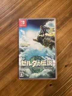 ゼルダの伝説 ティアーズ オブ ザ キングダム