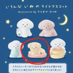 いろんないぬのライトマスコット　くつろぎいぬ　てらおかなつみ ガチャ カプセル