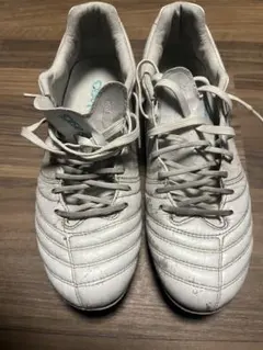 asics DS LIGHT X - fly 25.5