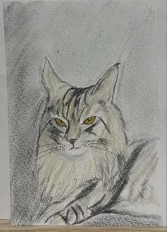 色鉛筆画 A4 秋色のハチワレ猫 - メルカリ