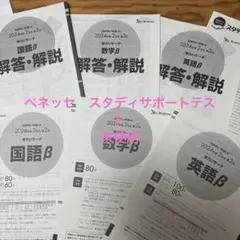 2025年最新】スタディーサポート 2024の人気アイテム - メルカリ