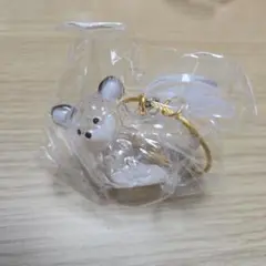 うちの子けだまだま 犬 チワワ
