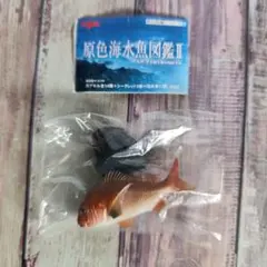 2005 Yujin 原色海水魚図鑑 Ⅱ 「マダイ」　フィギュア