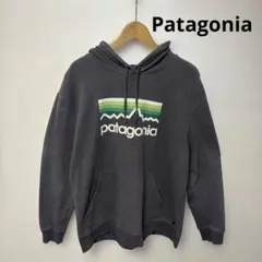 Patagonia パタゴニア メンズ　長袖プルオーバーパーカー　グレー　L