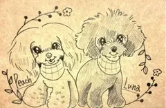 Item thumbnail for item 4dbcc8d8-1a6d-4ec5-8f90-c74b03de0fa8