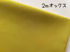 2m　無地　オックス　生地　マスタードイエロー　683