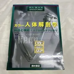 アナトミー運動学 上下肢編 & 疼痛治療解剖学セット - メルカリ