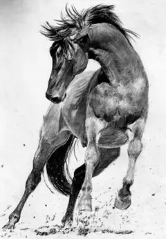 2371 疾走する馬 鉛筆画タッチイラスト A4額入り