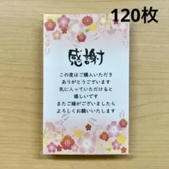 Item thumbnail for item 95b33b8d-1f55-466c-9f55-834854a94d77