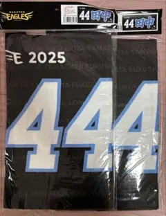 楽天イーグルス 田中貴也MyHEROタオル 2025 2枚セット