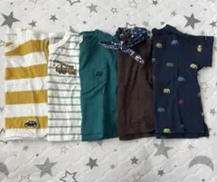 プティマイン　Tシャツ5枚セット