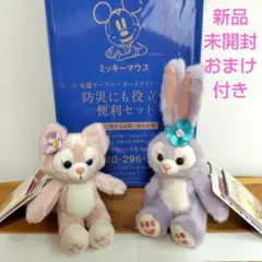 【新品】ディズニー ステラルー＆リーナベル ぬいぐるみ・チャーム × 2セット
