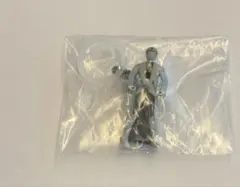 スーパー戦隊シリーズ　ゴーカイシルバー　めじるしアクセサリー　レンジャーキー