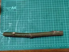 たけとんぼ様 リクエスト 2点 まとめ商品