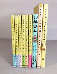 Item thumbnail for item 273f0bc7-591b-4a56-9798-8741eb11efc9