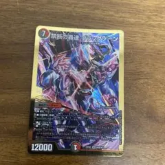 禁断の轟速ブラックゾーン ヒーローレア 黒 3枚 - メルカリ