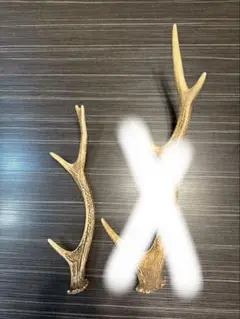 鹿　角②