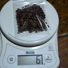 群馬県産の栽培朝倉山椒の種を取った実の部分6ｇ