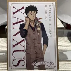 家庭教師ヒットマンREBORN! The cat A5ポストカード XANXUS