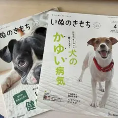 Item thumbnail for item 3346d4ce-54ce-4907-b336-89ba9e478ac8