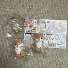 わんこのタイムカプセル まめ＆ラテ