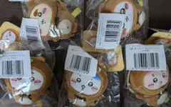 たぬきだもんくじ C賞 ちいかわ ハチワレ シーサー モモンガ 古本屋