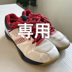 最終値下げYONEX⭐︎バドミントンシューズ⭐︎24cm
