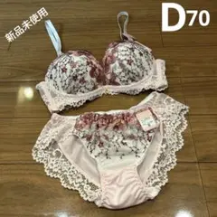 レディース　ブラ　ショーツセット　D70