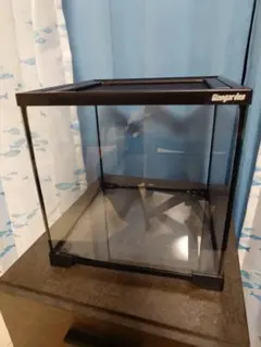 2025年最新】温室 ガラスケースの人気アイテム - メルカリ