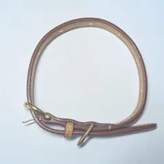 BIRDIE-バーディ 中型犬向け首輪 ブラウン 訳ありタグ無し