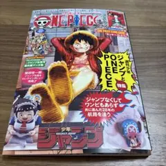 ワンピースマガジン　20号　モンキー・D・ルフィ　付録なし　ワンピース