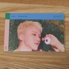 SEVENTEEN ホシ SECTOR17 ステッカー