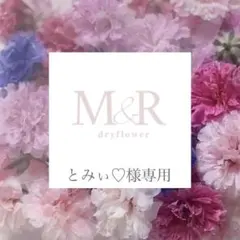 かすみ草ドライフラワー