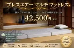 定価4.25万 新品 ブレスエアー マルチマットレス 東洋紡 昼寝快眠 シングル 定価4.25万 新品 ブレスエアー マルチマットレス 東洋紡 昼寝快眠