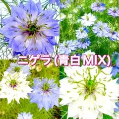 mickey様 リクエスト 2点 まとめ商品