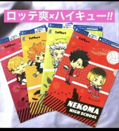 ハイキュー！！　全４種×２　８点セット　描き起こしデザイン