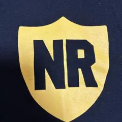 NITRAID Tシャツ リバーシブル